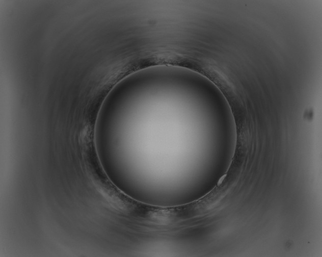 X0000091690079200708231449