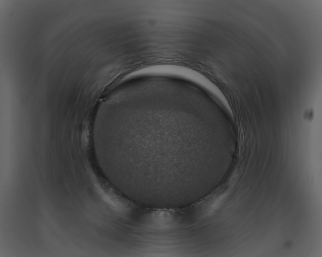 X0000091690080200708231449