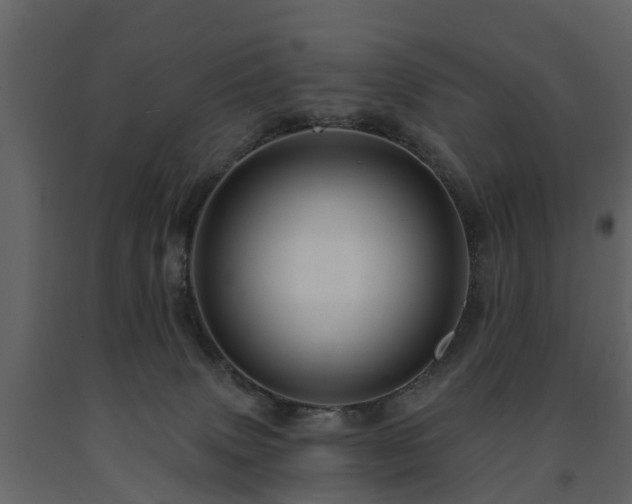X0000091690083200708231449