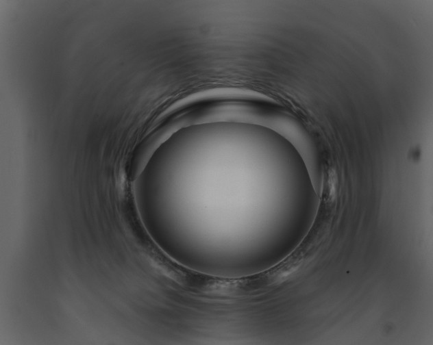 X0000091690084200708231449