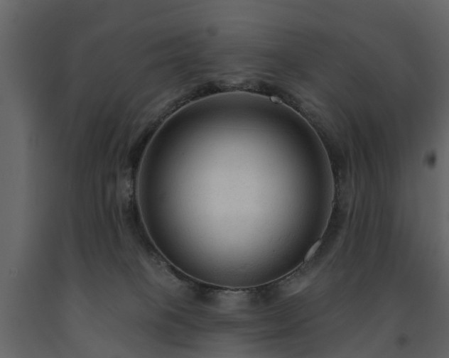 X0000091690085200708231449