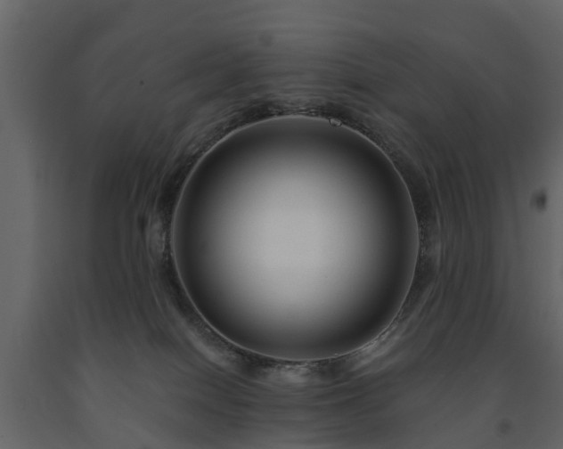 X0000091690086200708231449