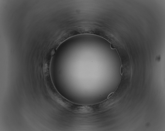 X0000091690087200708231449