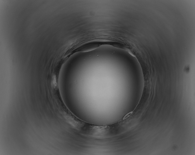 X0000091690089200708231449