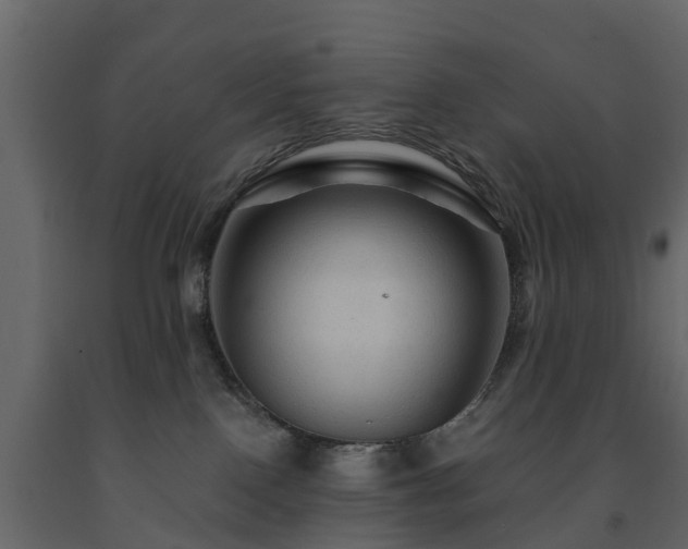 X0000091690090200708231449