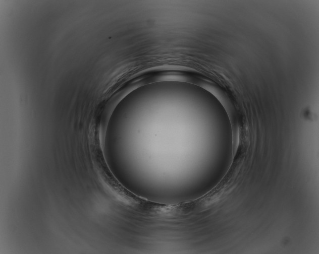X0000091690092200708231449