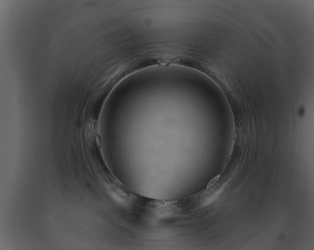 X0000091690093200708231449