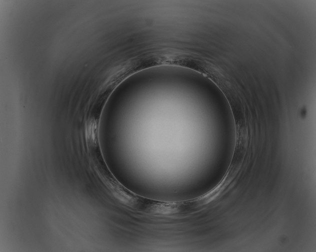 X0000091690094200708231449