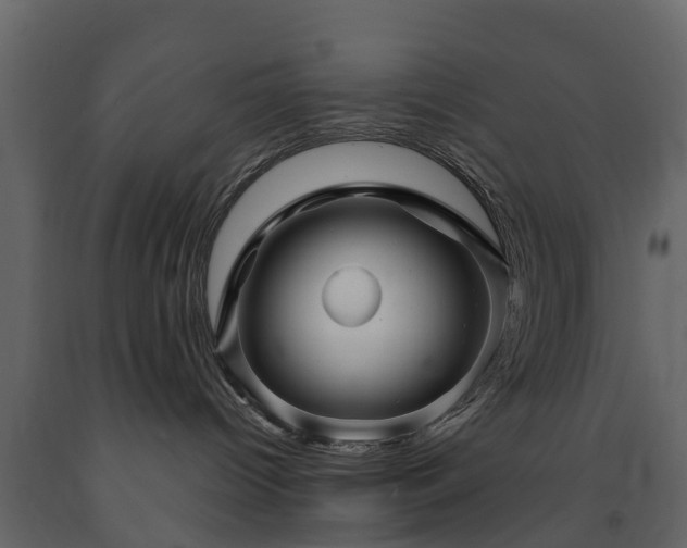 X0000091690096200708231450