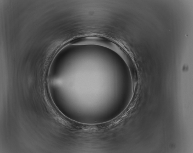 X0000091690097200708231449