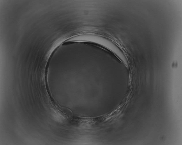 X0000091690099200708231449