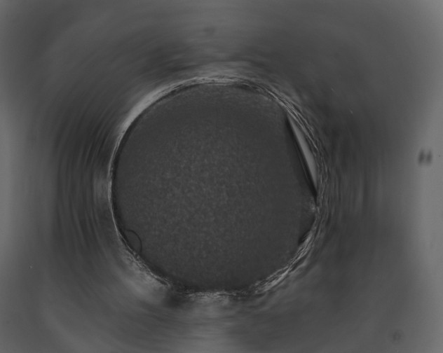 X0000091690100200708231449