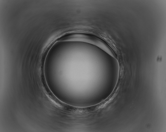 X0000091690101200708231449
