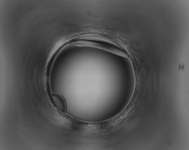 X0000091690102200708231449