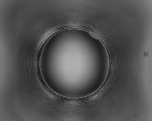 X0000091690103200708231449