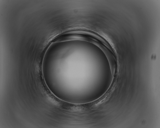 X0000091690105200708231449