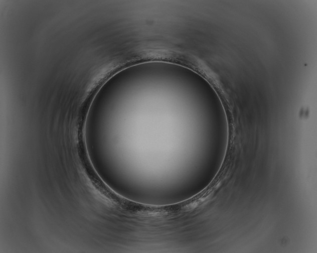 X0000091690106200708231449
