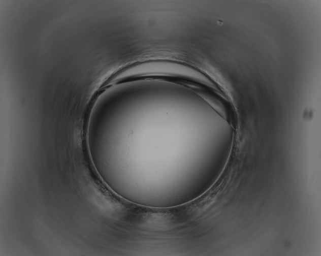 X0000091690107200708231449