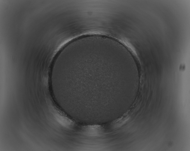 X0000091690108200708231449