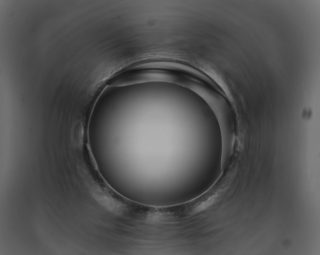 X0000091690109200708231449