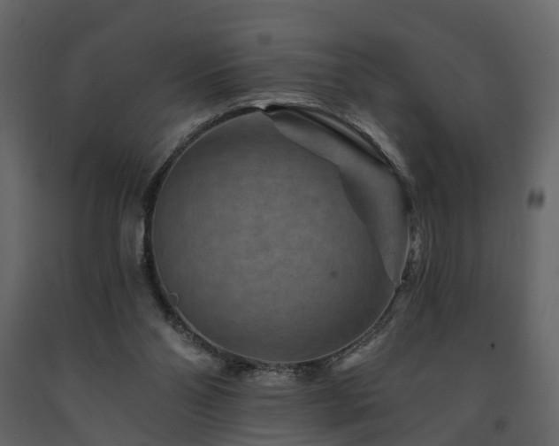 X0000091690110200708231449