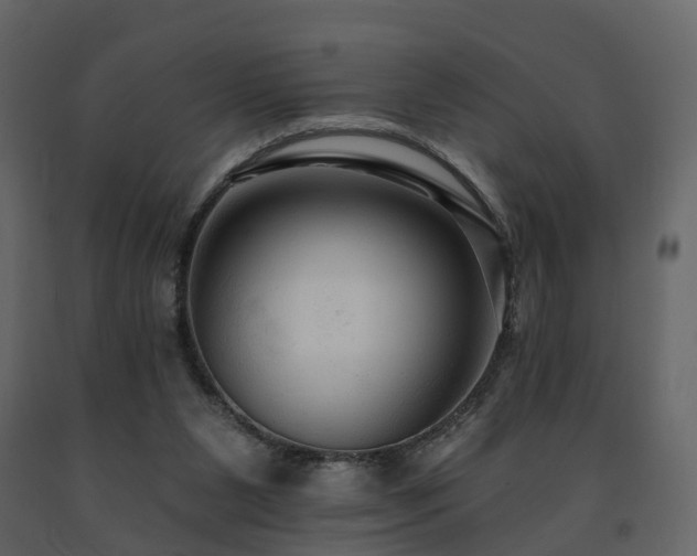 X0000091690111200708231449