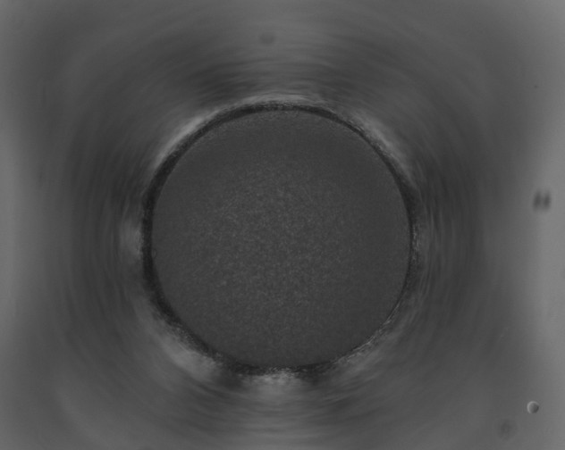 X0000091690112200708231449