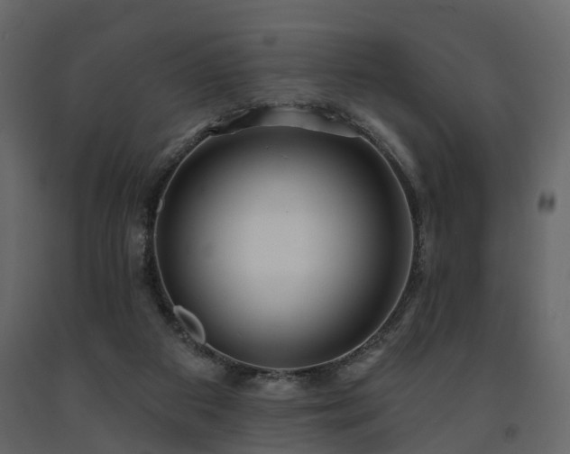 X0000091690113200708231449