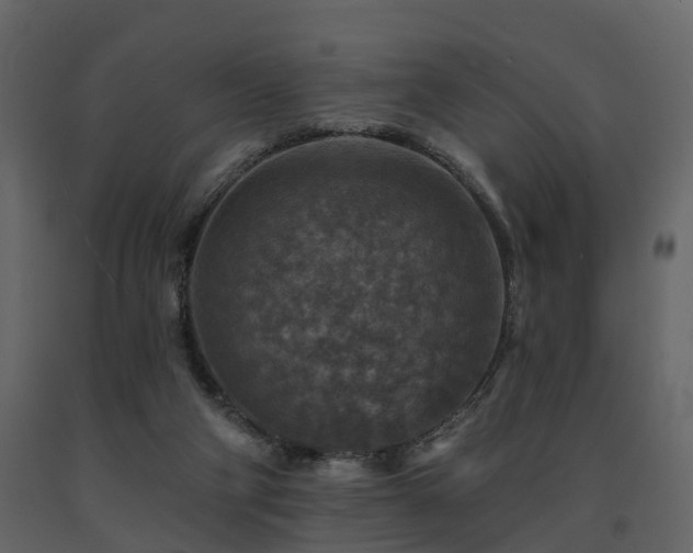 X0000091690114200708231449