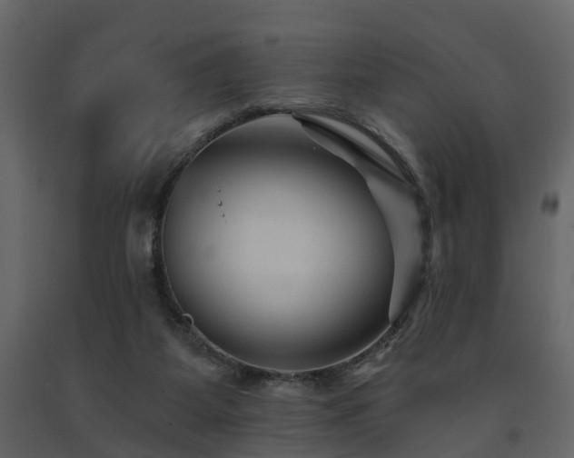 X0000091690115200708231449