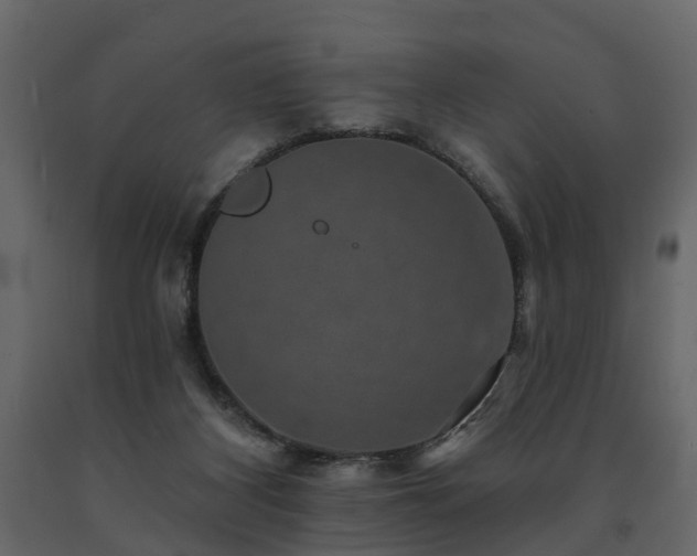 X0000091690116200708231449