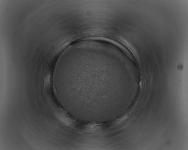 X0000091690117200708231449