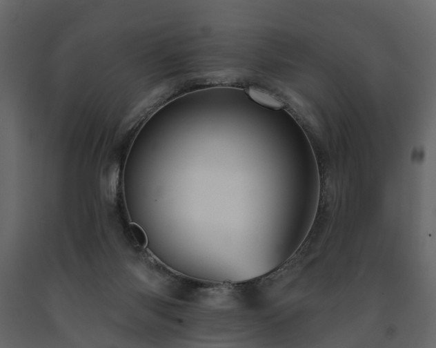 X0000091690118200708231449