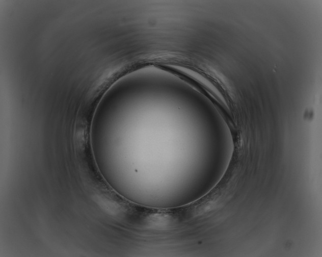 X0000091690119200708231449