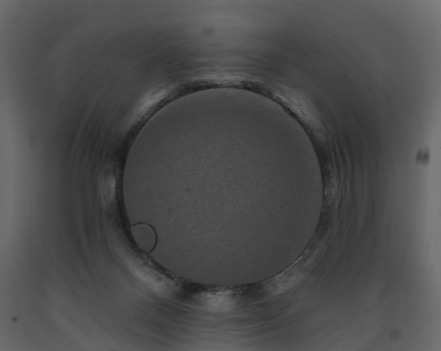 X0000091690120200708231449