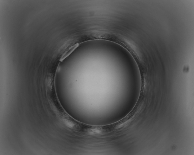 X0000091690121200708231449