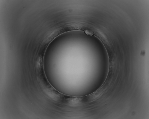 X0000091690122200708231449