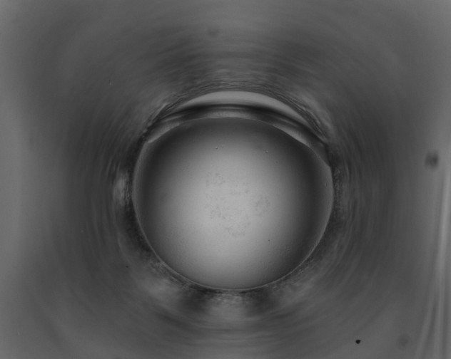 X0000091690123200708231448