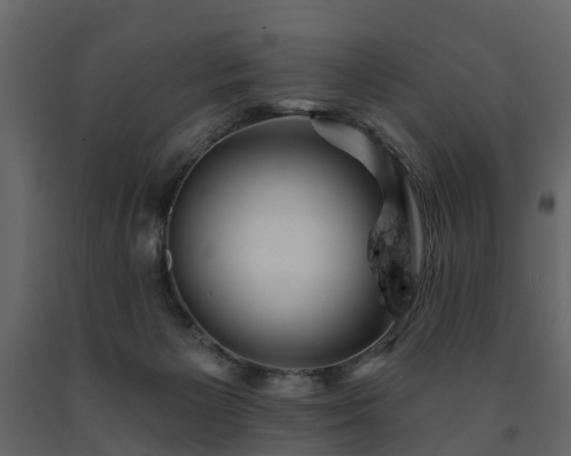 X0000091690125200708231448