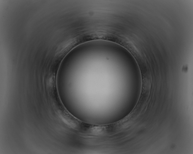 X0000091690126200708231448