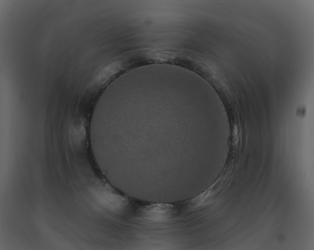 X0000091690128200708231448