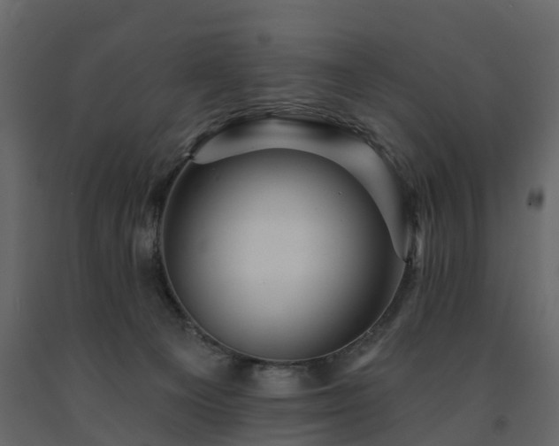 X0000091690129200708231448