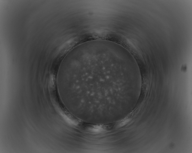 X0000091690130200708231448