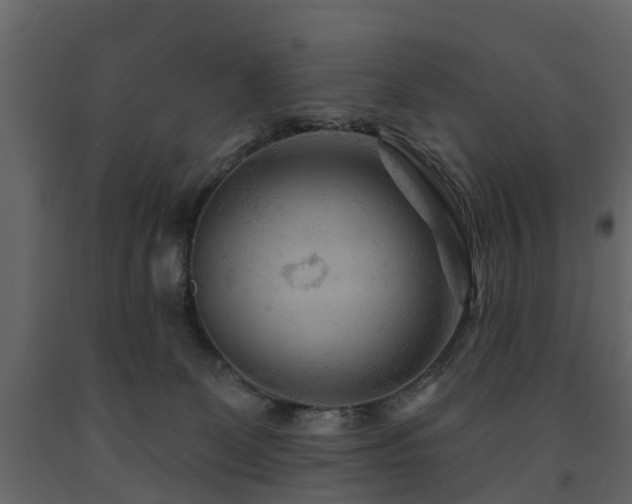 X0000091690131200708231448