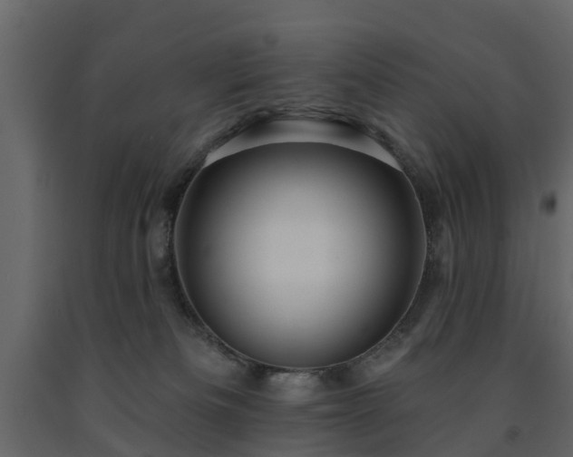 X0000091690133200708231448