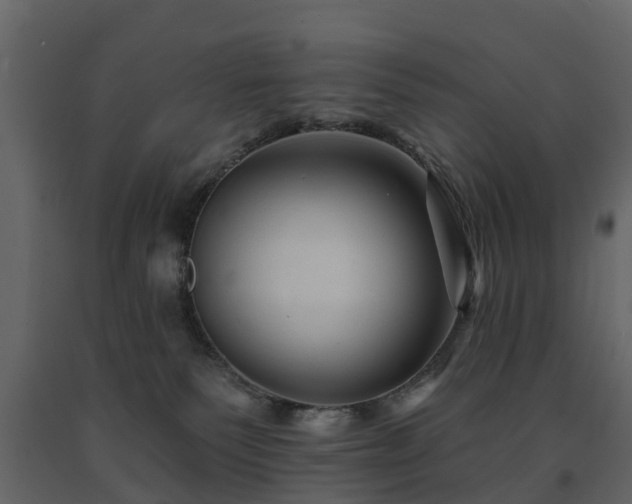 X0000091690135200708231448