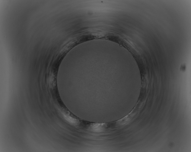 X0000091690136200708231448