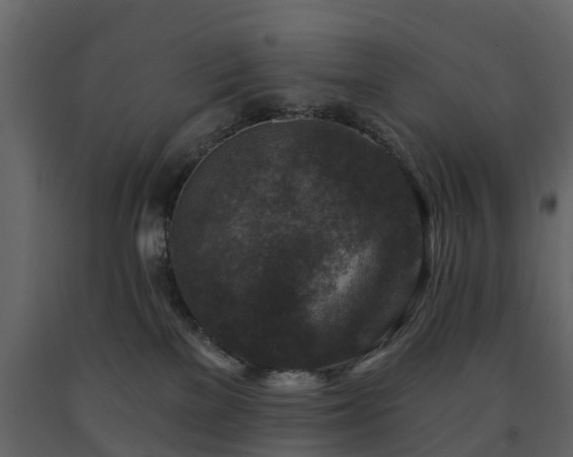 X0000091690137200708231448