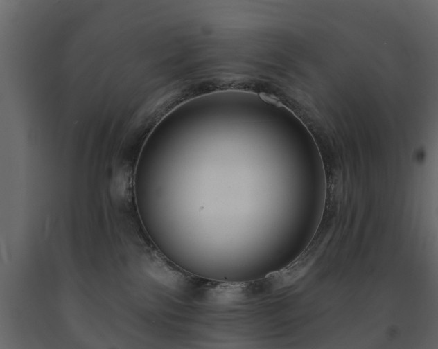 X0000091690138200708231448
