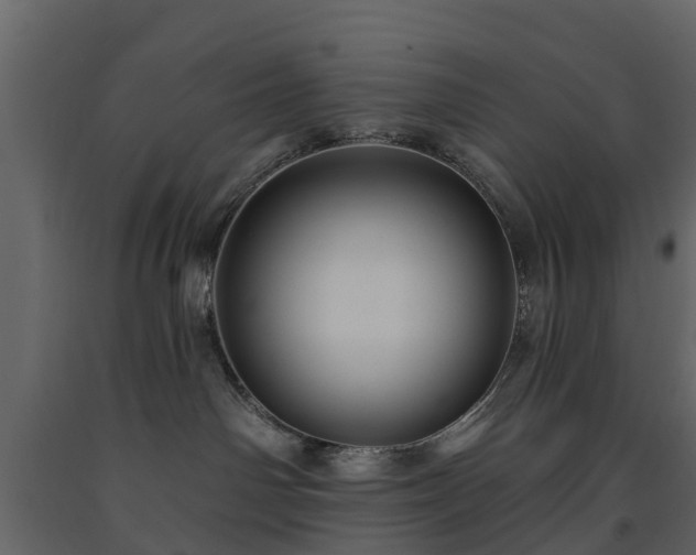 X0000091690142200708231448